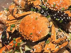 -松哥油焖大虾.小龙虾.黑鸭煲(海岸城店)