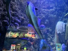 -海合安青岛极地海洋公园