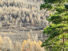 -莫尔道嘎国家森林公园