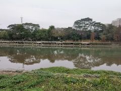 -怡海公园(桂城街道)