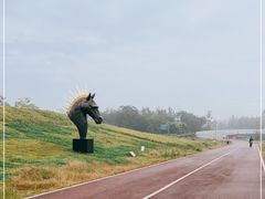 -白鹭湾湿地公园