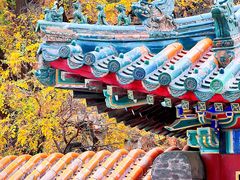 -颐和园