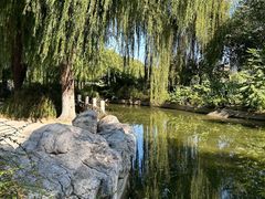 -莲花池公园
