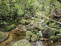 -海南热带雨林国家公园吊罗山景区