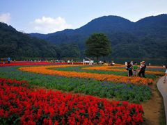 -广州市石门国家森林公园