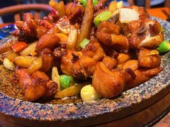 -鑫日千里马(汇智店)