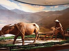 -信阳博物馆