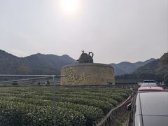 -龙坞茶村