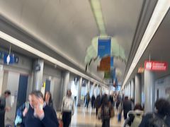 -奥黑尔国际机场