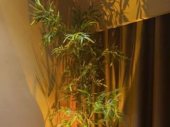-宁采臣Sleep·采耳·SPA放松馆(湖里万达店)