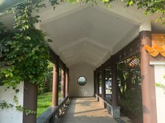 -深圳仙湖植物园