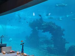 -海棠湾洲际-涛·海底餐厅·美人鱼·自助餐·海底隧道