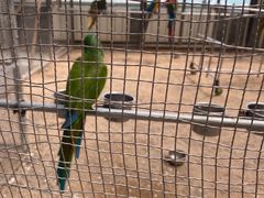 -南宫五洲植物乐园