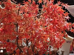 -杨记隆府重庆江湖菜(大悦城店)