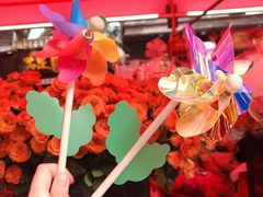 -越秀西湖花市(广州城市广场花卉店)