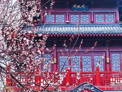 -堤角公园