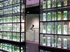 -广东中医药博物馆