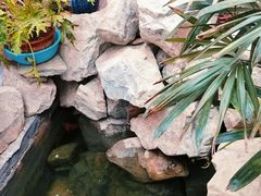 -小仙居·农家宴烤羊· 农庄