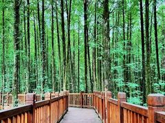 -山王坪喀斯特国家生态公园