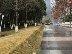 -重庆市江北嘴中央商务区中央公园