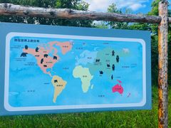 -黑瞎子岛探秘野熊园