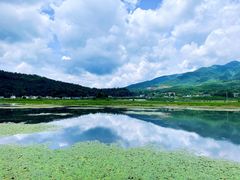 -腾冲北海湿地