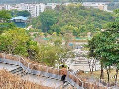 -白石龙音乐公园