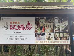 -亚龙湾热带天堂森林公园