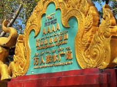 -西双版纳傣族园