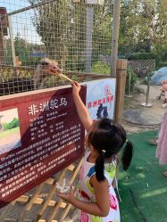 -萌宠亲子动物乐园(槐房万达店)