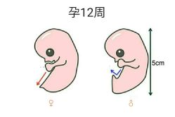 -邢台妇产医院
