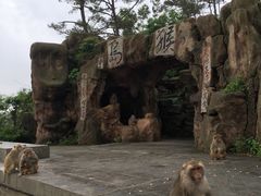 -广州市流溪河国家森林公园