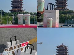 -黄鹤楼公园(黄鹤楼)