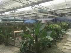 -桉树林A coffee 森林餐厅(三圣乡店)