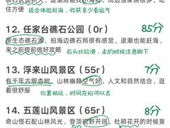 -日照海滨国家森林公园