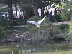 -汇龙潭
