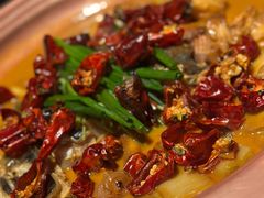 -柿合缘新京菜(国金中心商场店)