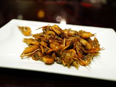 特色油爆河虾-三林本帮馆(中林街店)