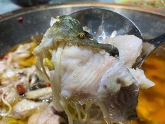 -雲蜀龙阁·金牌水煮鱼(方庄店)