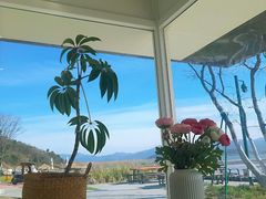 -黄贤森林公园