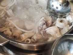 -润园四季椰子鸡火锅(海上世界店)