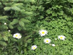 -青峰峡国家森林公园