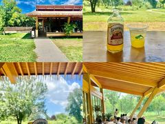 -亮马河饭店翠雅咖啡厅