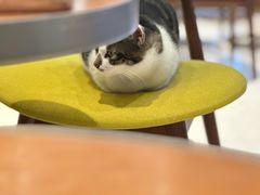 -Peet's Coffee皮爷咖啡(豫园店)