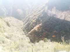 -黄花溪