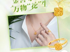 -品真阁华夏典当行(四通桥店)