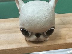 -帕帕拉兹宠物(亚洲旗舰店)