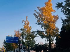 -国际非物质文化遗产博览园