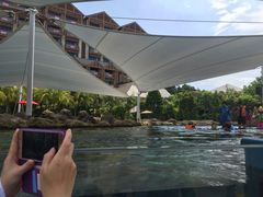 -新加坡水上探险乐园