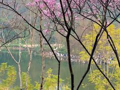 -重庆彩云湖湿地公园